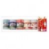 TEMPERA ACRILICA ML. 35 BLISTER 5 COL. NATALIZI