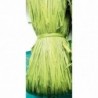 RAFIA NATURALE GR.50 VERDE ACIDO