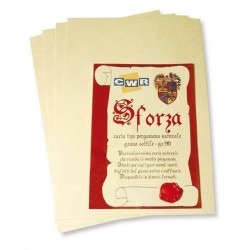 PERGAMENA SFORZA90 A4 FG.12...
