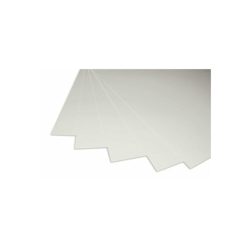 CART/PESANTE 35X50 FG.10 GR.380 BIA/GRIGIO