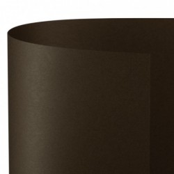 CARTONCINO BRISTOL 50x70...