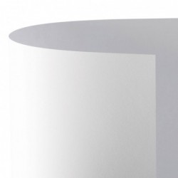 CARTONCINO BRISTOL 100x70...