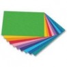 CARTONCINO BRISTOL 100x70 COLORATO Conf. 12 Colori Diversi