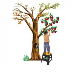 ALBERO 4 STAGIONI
