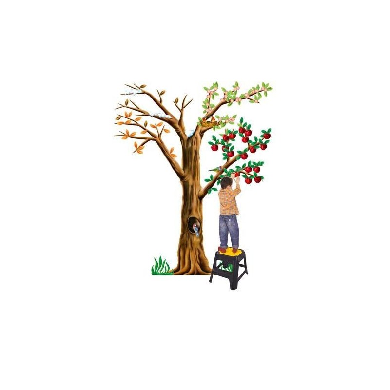 ALBERO 4 STAGIONI