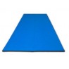 TAPPETO GIOCO E MOTRICITA' 120X80X5H BLU