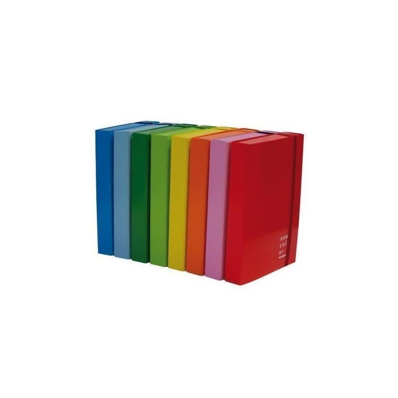 CART/PORTAPROGETTI CON ELASTICO 25X32 D. 10