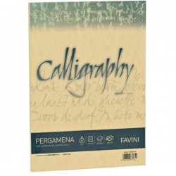 CARTA PERGAMENA A4 FG.50...
