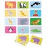 FLASH CARDS ANIMALI SELVAGGI - PZ. 52