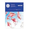 BLOCCO X ACQUARELLI A5 FG. 10 GR.300