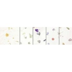 FOGLI LEGGERI 35 g - 23x33...