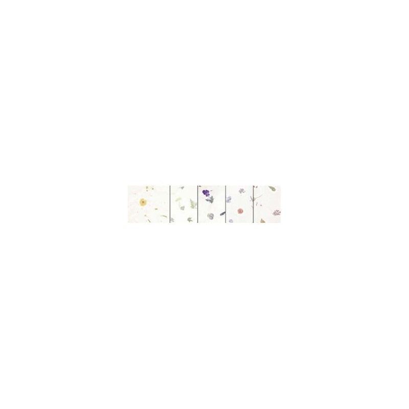 FOGLI LEGGERI 35 g - 23x33 - CON PETALI DI FIORE - 5 FG