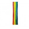 CINIGLIA GIG. COL. ASS. NEON PZ. 18 DIAM. 15 CM. 50